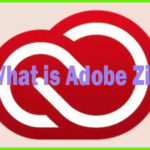 What is Adobe Zii